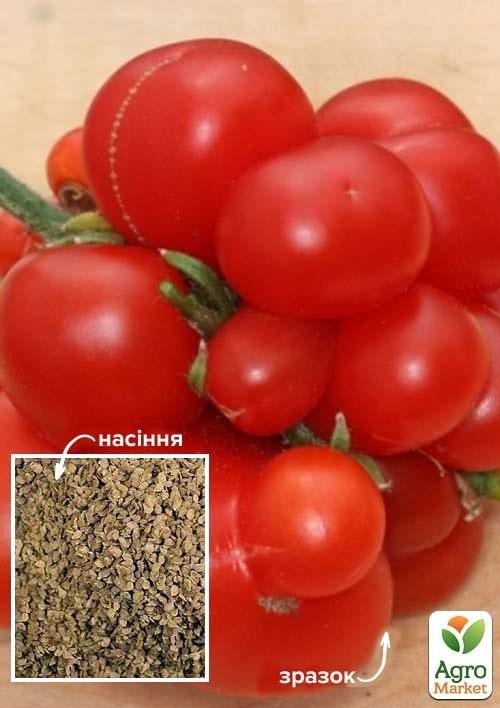 Томат "Чесночный" ТМ "Весна" 100г