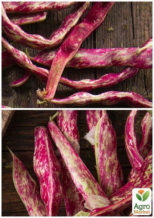 На развес Фасоль "Красная шапочка" ТМ "Весна" цена за 20г - фото 4