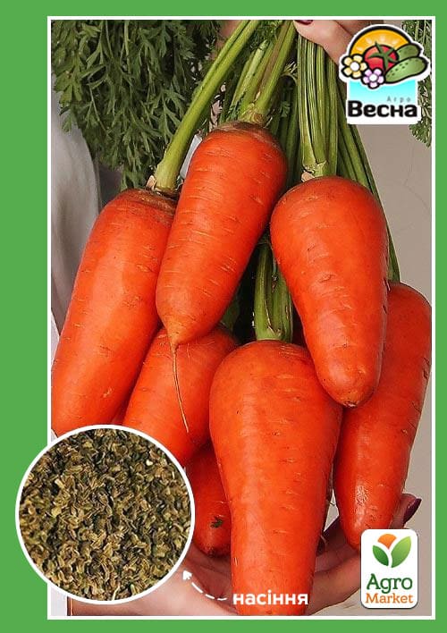 Морква "Шантане Королівська" (Новий пакет) ТМ "Весна" 2г