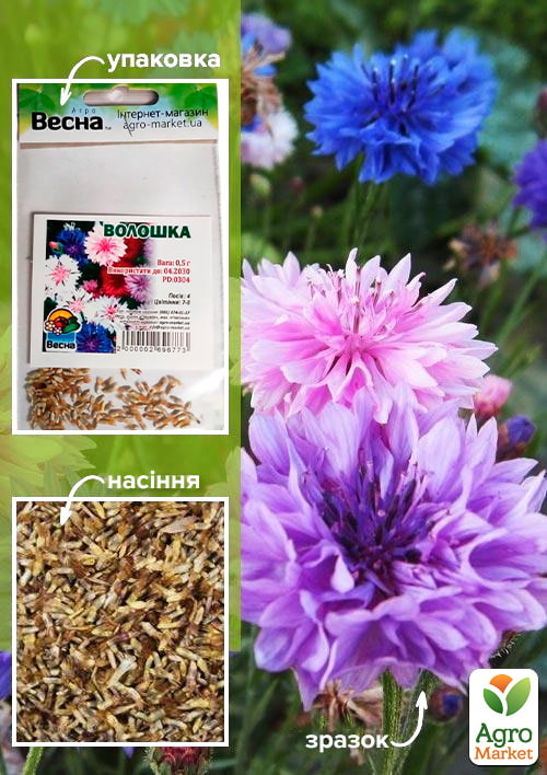 Волошка (Зипер) ТМ "Весна" 0,5г