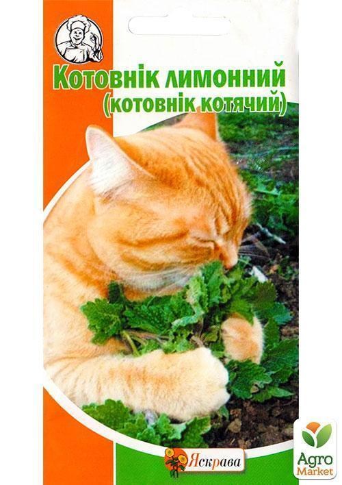 Котовник "Лимонный" ТМ "Яскрава" 0.5г