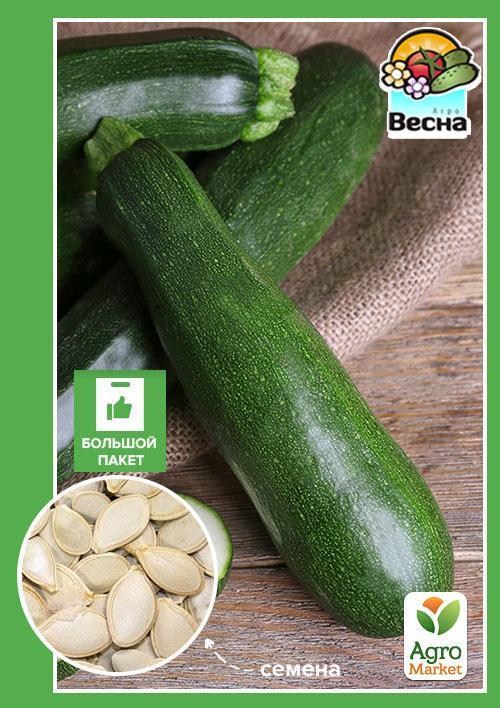 Кабачок "Аеронавт" (Великий пакет) ТМ "Весна" 5г