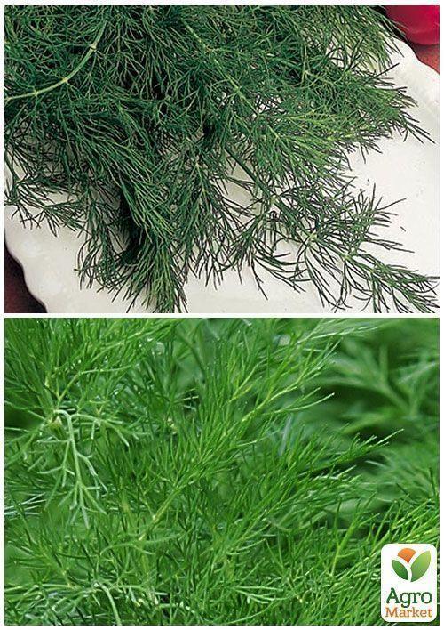 На развес Укроп "Дилл" ТМ "Весна" цена за 20г - фото 3