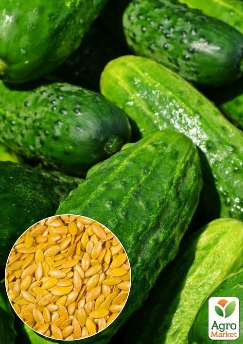 На вагу Огірок "Лідер F1" ТМ "Весна" ціна за 1г