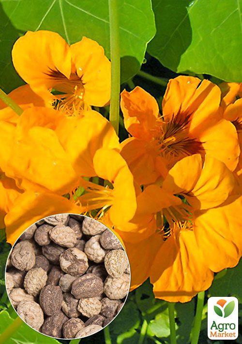 На развес Настурция "Золотой блеск" ТМ "Весна" цена за 3г