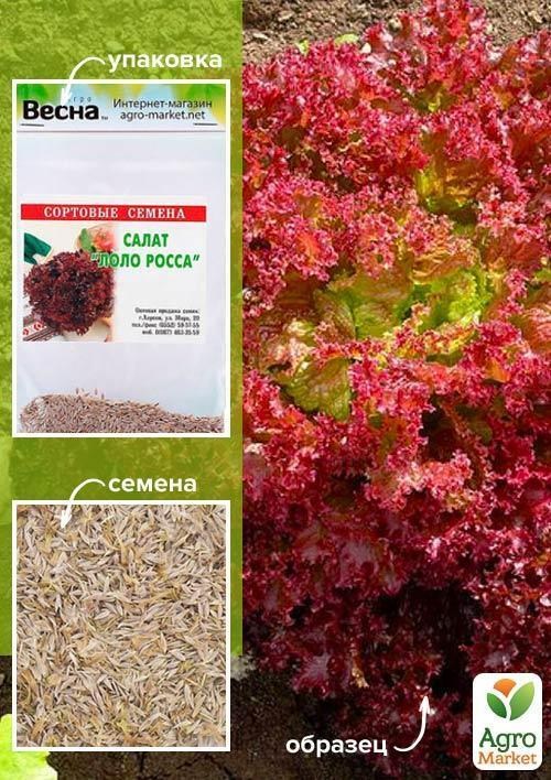 Салат "Лоло росса" (Зипер) ТМ "Весна" 1г