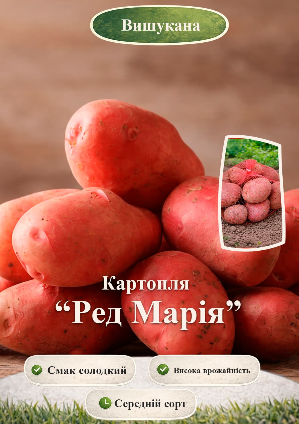 Эксклюзив! Картофель "Рэд Мария" семенной среднеспелый (1 репродукция)  1 кг
