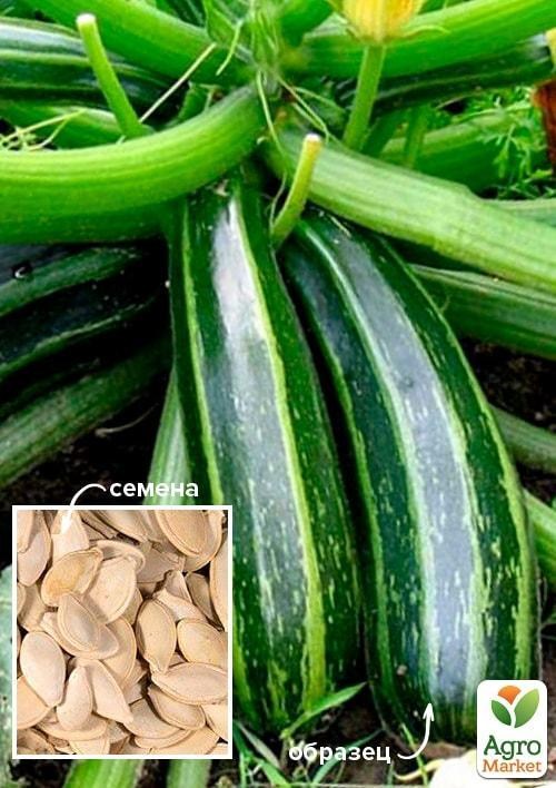 Кабачок "Зебра" ТМ "Весна" 500г