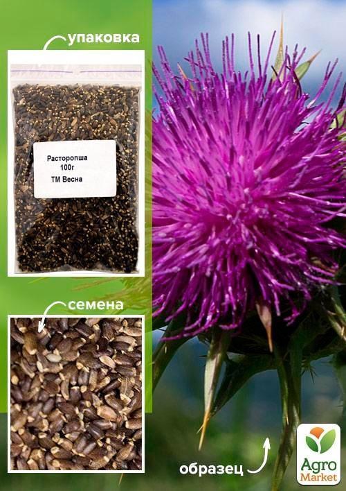 Розторопша ТМ "Весна" 100г