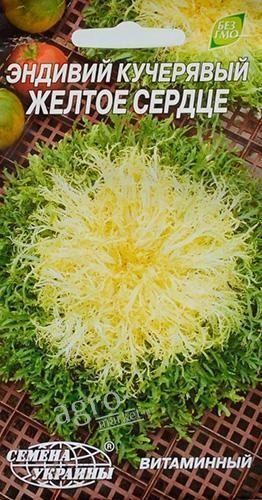 Салат эндивий кучерявый "Желтое сердце"  ТМ "Семена Украины" 0.5г