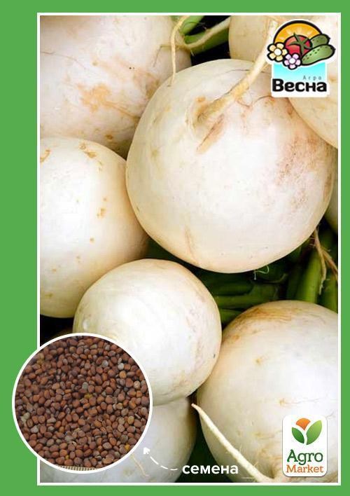 Редька "Сквирська біла" ТМ "Весна" 2г