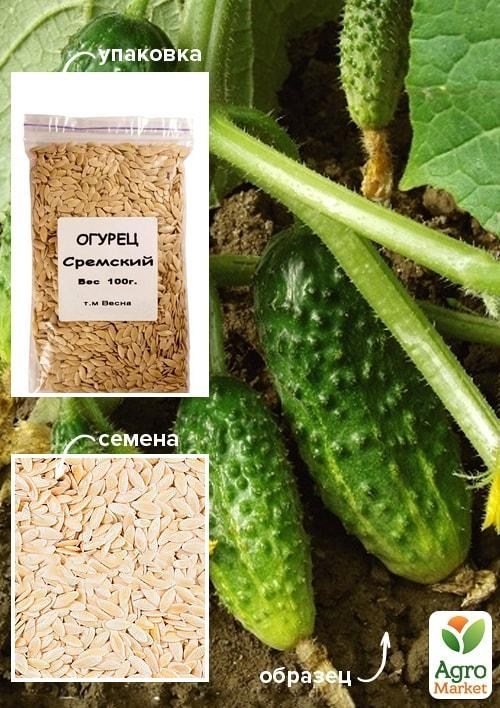 Огурец "Сремский ТМ "Весна" 100г
