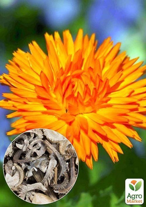 На вагу Календула "Радіо" ТМ "Весна" ціна за 3г