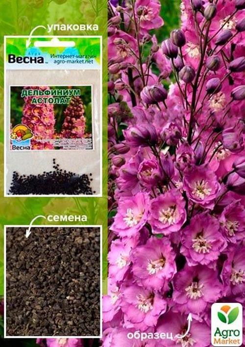 Дельфініум "Астолат" (Зипер) ТМ "Весна" 0,1г