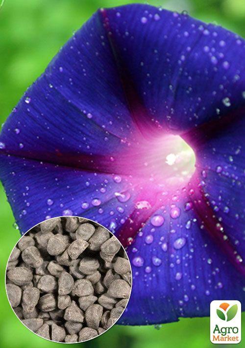 На развес Ипомея "Цыганочка" ТМ "Весна" цена за 2г