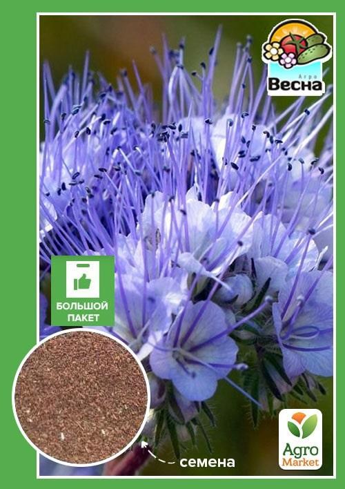 Фацелія "Бджолиний рай" (Великий пакет) ТМ "Весна" 15г