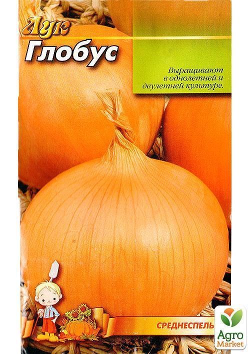 Цибуля "Глобус" ТМ "Весна" 2г - фото 2
