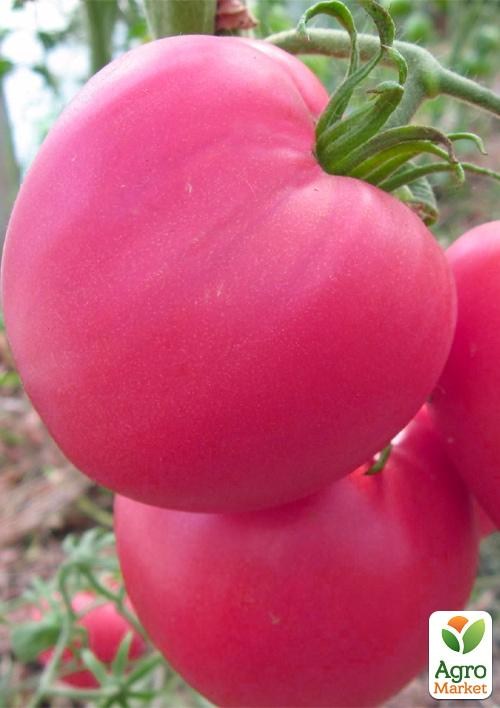 Томат "Гетьман" ТМ "Vesna Select" 0.2г