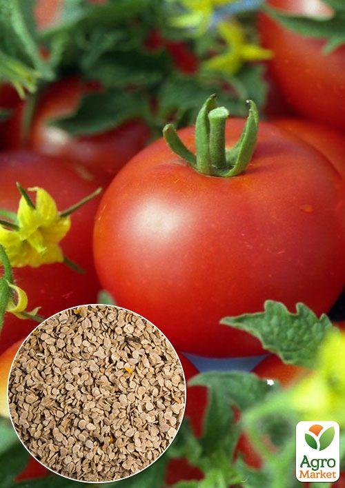 На развес Томат "Агата" ТМ "Весна" цена за 1г