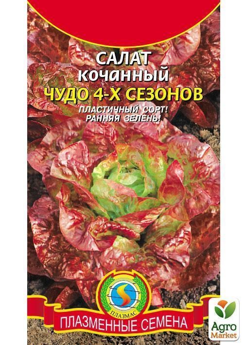 Салат "Чудо 4-х сезонов" ТМ "Плазменные семена" 0,5г