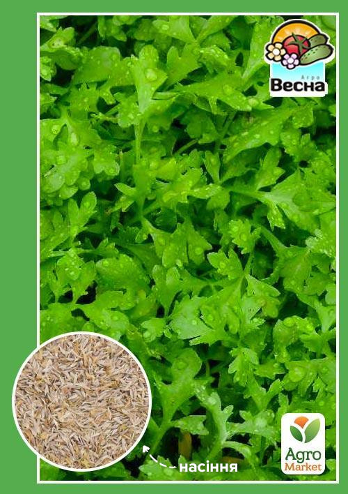 Кресс-салат "Ванька-кучерявий" (Новий пакет) ТМ "Весна" 1г
