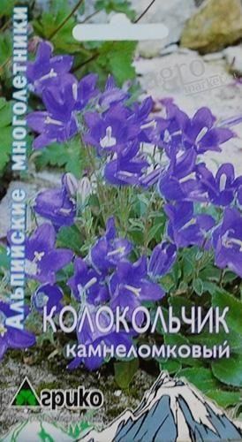 Дзвіночок "камнеломкових" ТМ "Агріко"
