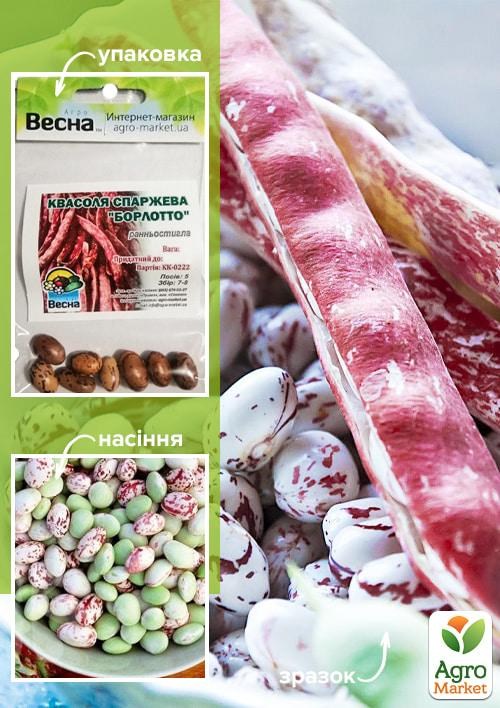 Квасоля спаржева "Борлотто" (Зипер) ТМ "Весна" 5г