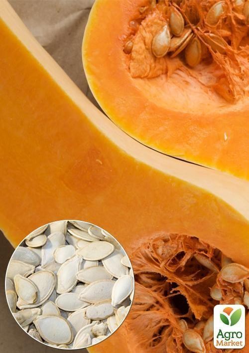 На вагу Гарбуз "Гітара" ТМ "Весна" ціна за 10г