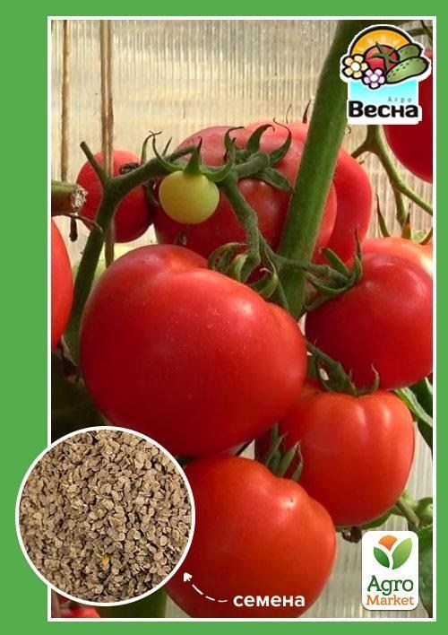 Томат "Халі Галі F1" ТМ "Весна" 0.2г