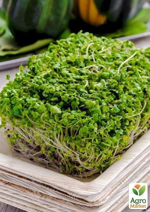 Мікрозелень "Брокколі" (у банці) ТМ "Твоя Зелена Весна" 2,5г - фото 4