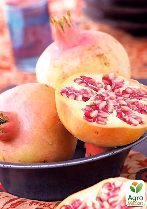 Гранат "Маліссі" (середній термін дозрівання) - фото 3