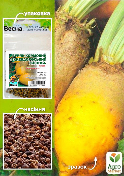 Свекла кормовая "Эккендорфская желтая" (Зипер) ТМ "Весна" 10г