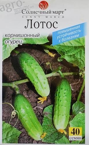 Огурец "Лотос" ТМ "Солнечный март" 40шт
