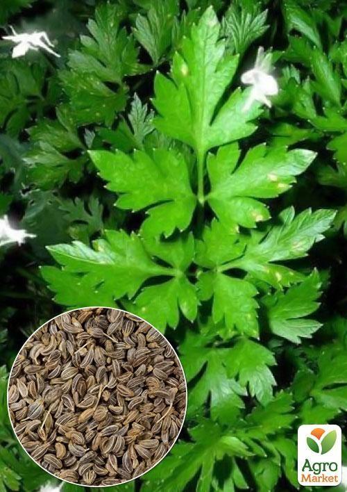 На развес Петрушка "Урожайная" ТМ "Весна" цена за 10г