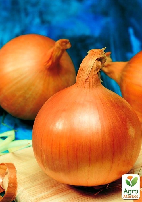 На развес Лук репчатый "Глобо" ТМ "Весна" цена за 5г - фото 2