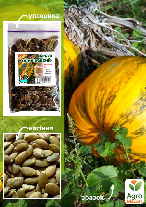 Тыква "Штирийская" ТМ "Весна" 100г
