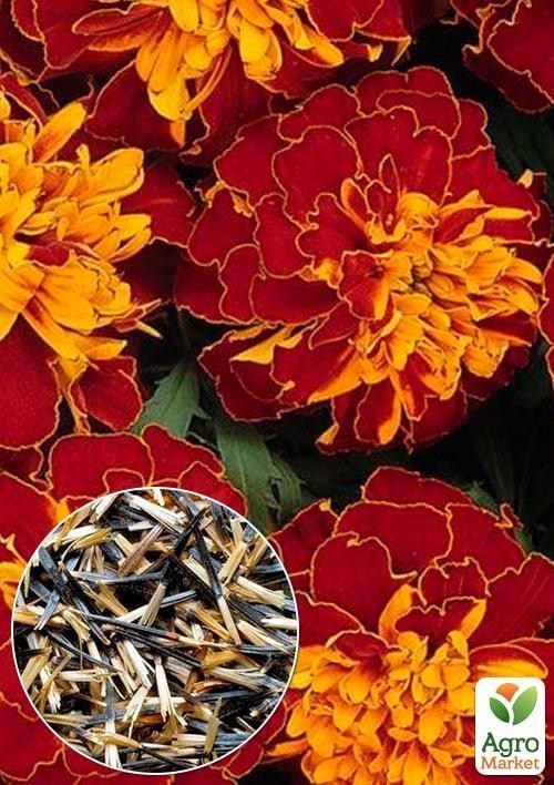 На развес Бархатцы "Болеро" ТМ "Весна" цена за 2г