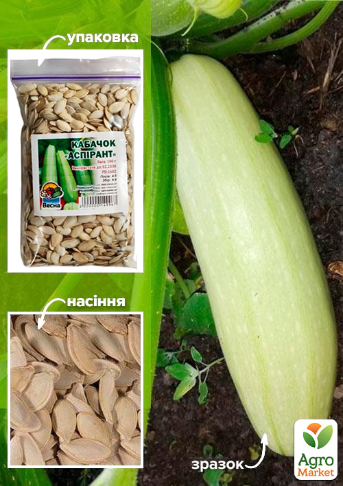 Кабачок "Аспирант" ТМ "Весна" 100г