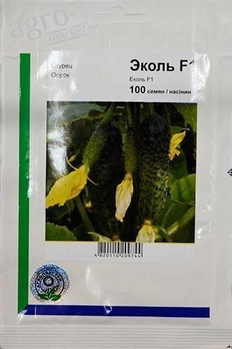 Огурец "Эколь F1" ТМ "Nunhems" 100шт