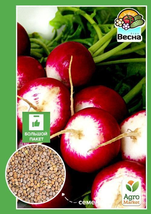 Редис "КБК" (Великий пакет) ТМ "Весна" 7г