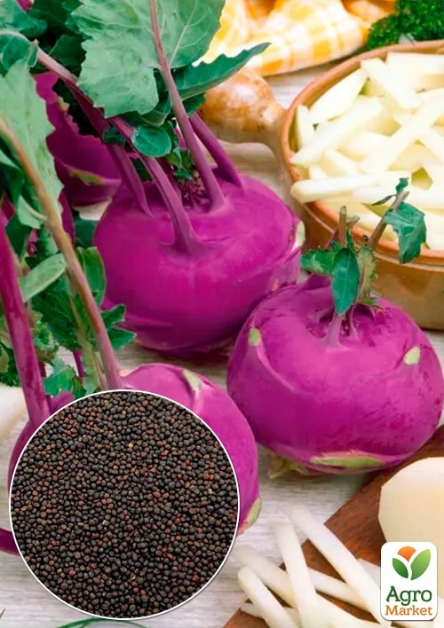 Капуста "Кольрабі червона" (Зипер) ТМ "Весна" 1г