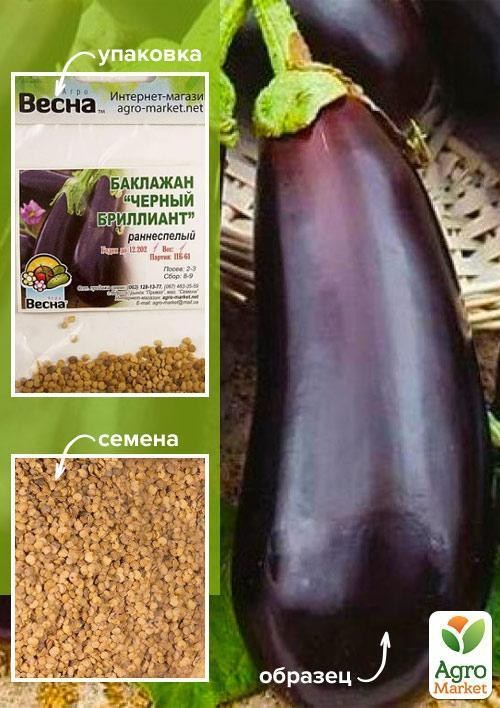 Баклажан "Черный бриллиант" (Зипер) ТМ "Весна" 1г