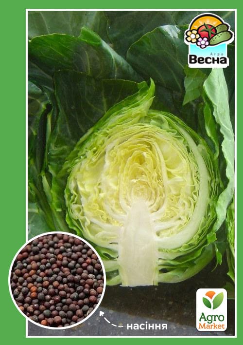 Капуста надрання "Перший урожай" ТМ "Весна" 0.5г