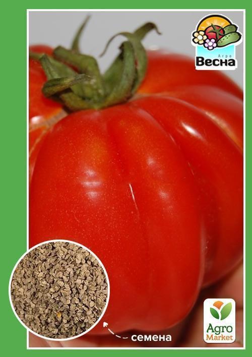 Томат "Вождь краснокожих" (Новый пакет) ТМ "Весна" 0.1г