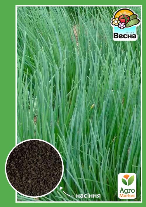 Цибуля "Шніт" ТМ "Весна" 0,5г