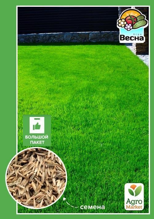 Трава газонна "Вікенд" (Великий пакет) ТМ "Весна" 20г