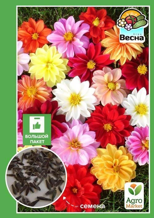 Жоржина "Суміш забарвлень" (Великий пакет) ТМ "Весна" 0,8г