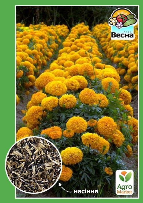 Чорнобривці "Високорослі" ТМ "Весна" 0.3г