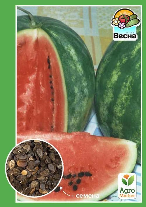 Кавун "Широнінський" ТМ "Весна" 1.5г