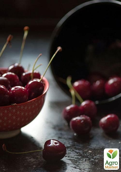 Вишня "Келерис"